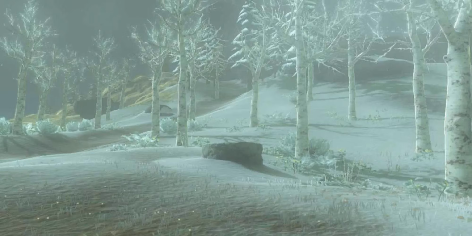 i-found-all-58-wells-in-tears-of-the-kingdom-a-2026-side-quest-diary-image-4